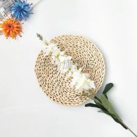 风信子单支飞燕草仿真绢假花装饰客厅阳台卧室婚庆路引插花艺剪裁 白色 仿真风信子1枝