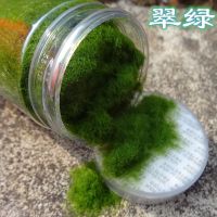 绿植仿真苔藓罐装40G尼龙青藓草粉diy假山造景创意草沫装饰人造草 翠绿40克装