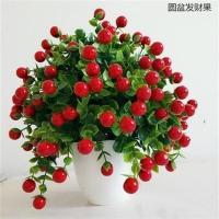 仿真塑料花家居客厅茶几电视柜餐桌店面招财果树盆景摆设装饰品 圆盆发财果