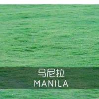 带泥土真草皮草坪庭院别墅绿化植物马尼拉四季青果岭草草坪绿植 马尼拉草坪一捆0.5平方