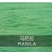 带泥土真草皮草坪庭院别墅绿化植物马尼拉四季青果岭草草坪绿植 马尼拉草坪一捆0.5平方