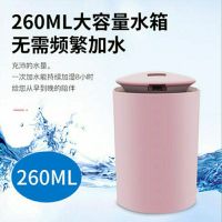 加湿器USB车载家用卧室静音空气香薰雾化器补水仪迷你空气净化器 倾城粉 加湿器+一根棉棒