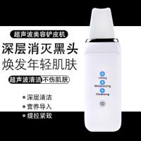 超声波铲皮机洁面仪脸部导入美容仪毛孔清洁器去黑头粉刺铲皮神器 C1铲皮机普通:经典白