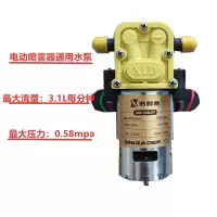 农用电动喷雾器高压水泵大功率12v高压家用抽水小型电动喷雾电机 信利德-平头泵