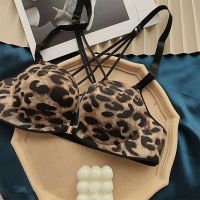 前扣款性感美背交叉一片式无痕无钢圈文胸罩小胸聚拢加厚少女内衣 经典豹纹(单件) 32/70A