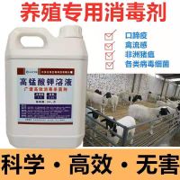 养殖场消毒液水产龙虾鱼泥鳅猪鸡鸽子消毒剂高锰酸钾家用消毒杀菌 一斤装