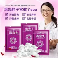 清宫丸排毒紧致女性私处护理炎症瘙痒异味白带妇炎洁洗液妇科炎症 1粒