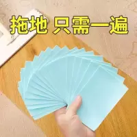瓷砖多效地板清洁片家用地砖神器地面清新香型拖地液剂增亮一次性 10片(体验装)