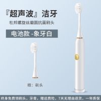 电动牙刷声波儿童男女士成人家用防水自动情侣款女学生充电式软毛 象牙白 电池款1档标配1刷头送电池