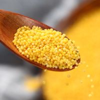 2021年新米 赤峰农家新黄小米5斤养胃熬粥油香糯五谷杂粮米脂真空 5斤特惠装(熬粥不推荐)