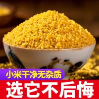 汾都香5斤山西农家新黄小米养胃油糯小米五谷杂粮月子小黄米100g 特价新米1斤[官方品牌 品质好货]
