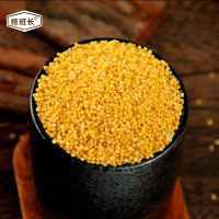 赤峰金苗小米新米5斤农家养胃黄小米孕妇月子五谷杂粮宝宝米1/斤 体验装
