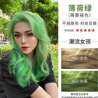 染发剂2021流行显白色牛油果绿色染发膏学生党自己在家染褪色永久 薄荷绿(头发已经是8度黄的拍)