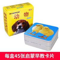 2岁宝宝早教书一两三岁认物大全图识物婴幼儿书籍早教启蒙宝宝看 早教卡[45张]