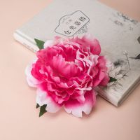 古风汉服头饰套装流苏中式秀禾服古典饰品步摇发簪诃子裙发饰全套 红色单个