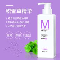 护发素女顺滑干枯头发护理毛躁修护柔顺补水香水味留香持久精华乳 精华护发素500ML