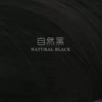 假刘海男生遮高额头假发片男士增发片前额发际线假发贴头顶补发片 两夹[假发]自然黑
