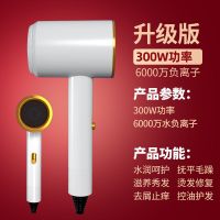 德国电吹风机家用负离子护发冷热风发廊理发店大功率吹风飞筒静音 白色300瓦 蓝光+即将恢复399