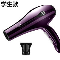 电风吹机理发店电吹风机家用大功率蓝光负离子吹风机学生冷热风 尊贵紫 专款标配(学生专用)