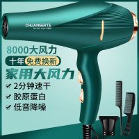 发廊大功率吹风机家用理发店冷热风大风力电吹风蓝光恒温离子护发 森林绿 发廊家用变频蓝光 送三