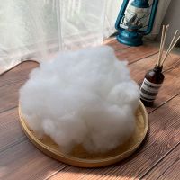 珍珠棉填充棉丝棉高弹pp棉花填充物丝绵填充棉蓬松棉抱枕芯棉玩偶 优质高弹PP棉 1斤