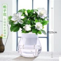 栀子花茉莉绿植盆栽观花卉绿箩水养室内绿萝水培植物驱蚊草富贵竹 自动吸水-栀子花 含盆 含盆