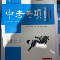 2022版 一飞冲天 天津中考专项语文数学英语物理化学各科自选真题 语文(天津发货)