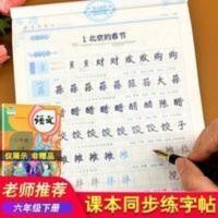 六年级下册语文同步字帖练字写字课课练人教版小学6年级下语文书 一笔好字 写字课课练同步字帖 六年级下册