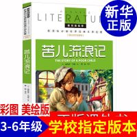 苦儿流浪记小学生课外书四年级五年级六年级课外阅读书籍老师 名校名师全解版 苦儿流浪记