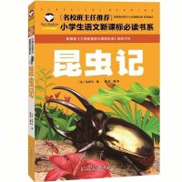 正版 昆虫记四年级课外书必读法布尔美绘版三四五年级课外阅读书 昆虫记(名校注音)