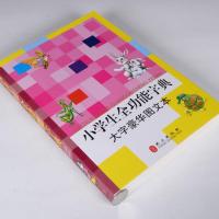 2021新版成语大词典小学初高中学生实用成语词典大全工具书大辞典 小学生全功能字典大字豪华版
