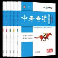 2022版一飞冲天天津中考专项语文数学英语物理化学历史道德与法治 语文[天津专版]