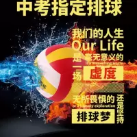 湖南省中考用球 中考专用排球 中考考试排球 中考排球 VQ2000排球 蓝色 气筒+网+气针