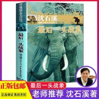 狼王梦正版 完整版沈石溪动物小说 最后一头战象第七条猎狗白狼等 1册]沈石溪动物小说-最后一头战象