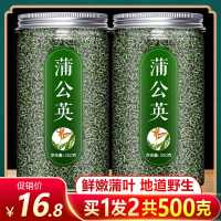 蒲公英茶根通乳腺女性茶叶清火排毒干婆婆丁新鲜特级野生散装 [1罐]蒲公英(250g)