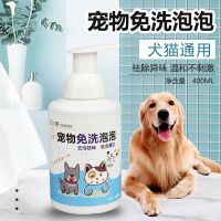 宠物干洗泡沫免洗狗狗猫咪香波幼犬除臭杀菌兔子干洗粉沐浴露用品