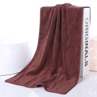 广东广州10条装理发店美容院发廊包头保洁专用毛巾吸水不掉毛 加厚咖啡色10条装 30x60cm