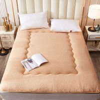 可折叠学生宿舍床垫加厚榻榻米海绵床垫双人单人寝室褥子上下铺 龙猫[加厚可折叠]_ 60*110cm(婴儿床用)