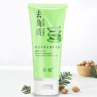 芊燕芦荟保湿去角质凝露死皮黑头清洁面部啫喱凝胶温和全身搓泥宝 芊燕100ml(1支体验装)