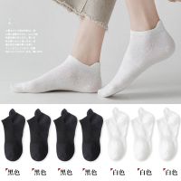 南极人袜子女夏季薄款可爱日系船袜短袜女款隐形新款透气黑白女生 3黑+2白-5双