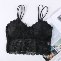 大码内衣抹胸女带胸垫性感蕾丝裹胸胖mm200斤无钢圈文胸背心胸罩 1件(黑色) M (80-98斤)