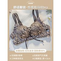 加厚绑带内衣女小胸平胸专用多情猫无钢圈aa杯美背性感文胸罩套装 斑马单件 70/32A[平胸加厚显大]