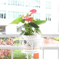 欧式美式铁艺单层落地花架阳台客厅室内外中式花盆架小花盆凳子 网格加[加粗款]栏杆花架 白色