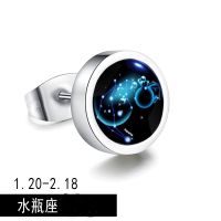 韩版十二星座耳钉无耳洞有耳洞男士个性单只情侣耳饰耳环潮人配饰 有耳洞 水瓶座单只
