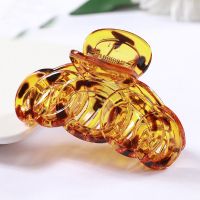 头花发夹抓夹成人发爪韩国发饰大号盘发器发抓卡子夹子顶夹头饰品 294环形 琥珀