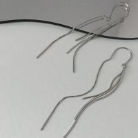 耳钉新款2021年流苏耳环蛇骨链耳线长款气质显瘦高级感耳坠女韩国 蛇骨链耳线一只