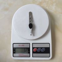 加厚有孔拔胡子夹子眉毛夹小镊子拔毛神器眉毛夹子夹胡须工具 新时代店-有孔夹(斜口1支)