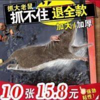 10张粘老鼠贴灭老鼠神器老鼠贴强力粘鼠板老鼠贴 灭鼠大老鼠粘鼠 10张粘老鼠贴灭老鼠神器老鼠贴强力粘鼠板老鼠贴 灭鼠大老
