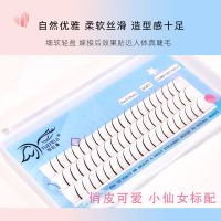 假睫毛单簇自然仿真自粘仙子眼睫毛鱼尾朵毛练习嫁接睫毛 初学者 单簇仙女毛C翘(60朵) 8mm送普通胶水+镊子