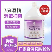 免洗洗手液凝胶型幼儿园儿童乐园大桶装补充杀菌免水干洗手消毒液